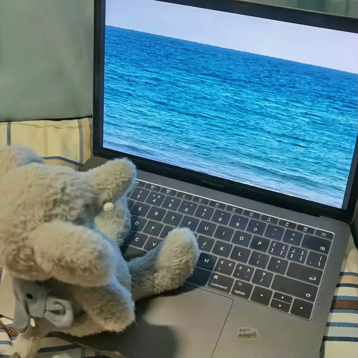 记一次服务器内存泄漏排查与修复之旅