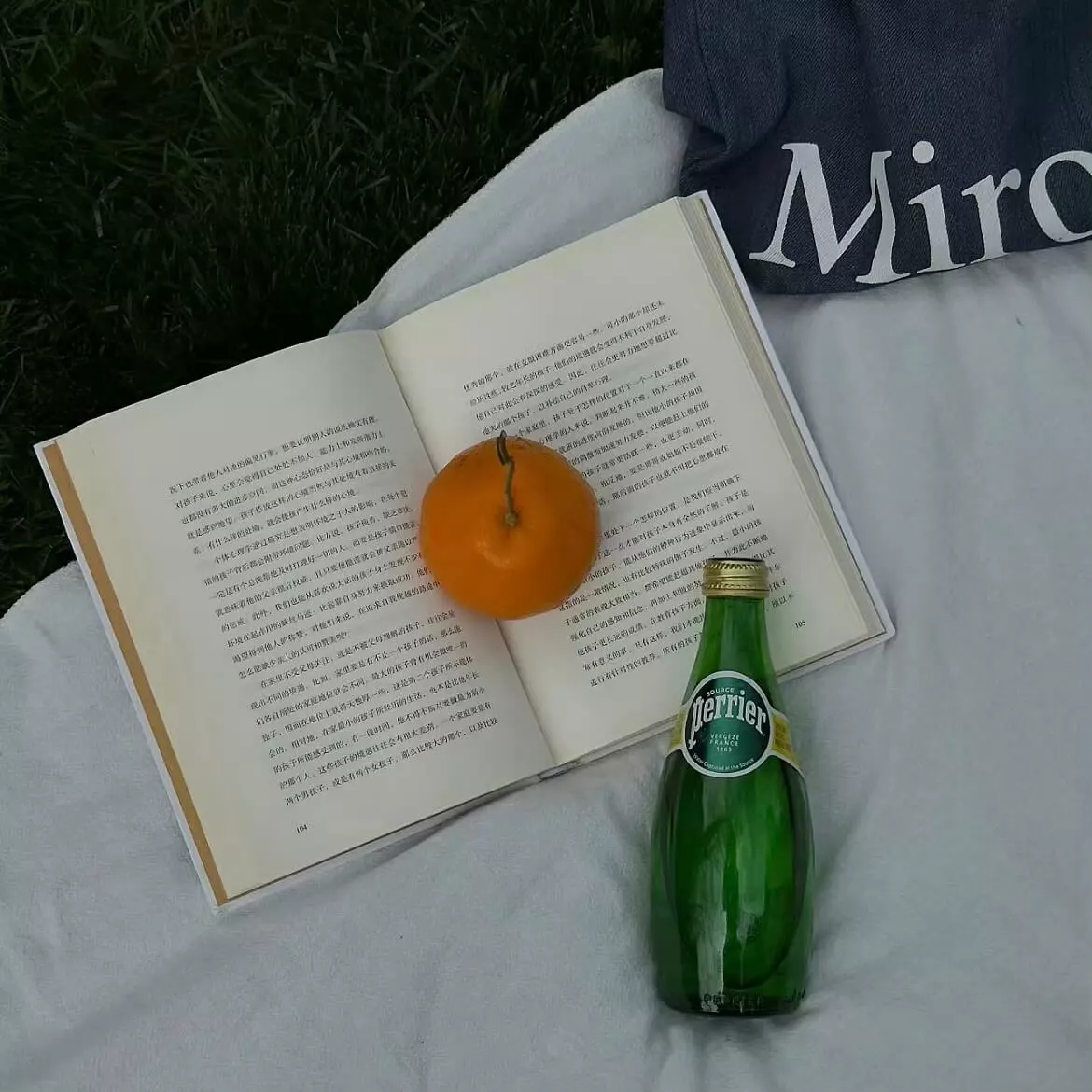 深入Web前端性能优化的关键实践与常见误区