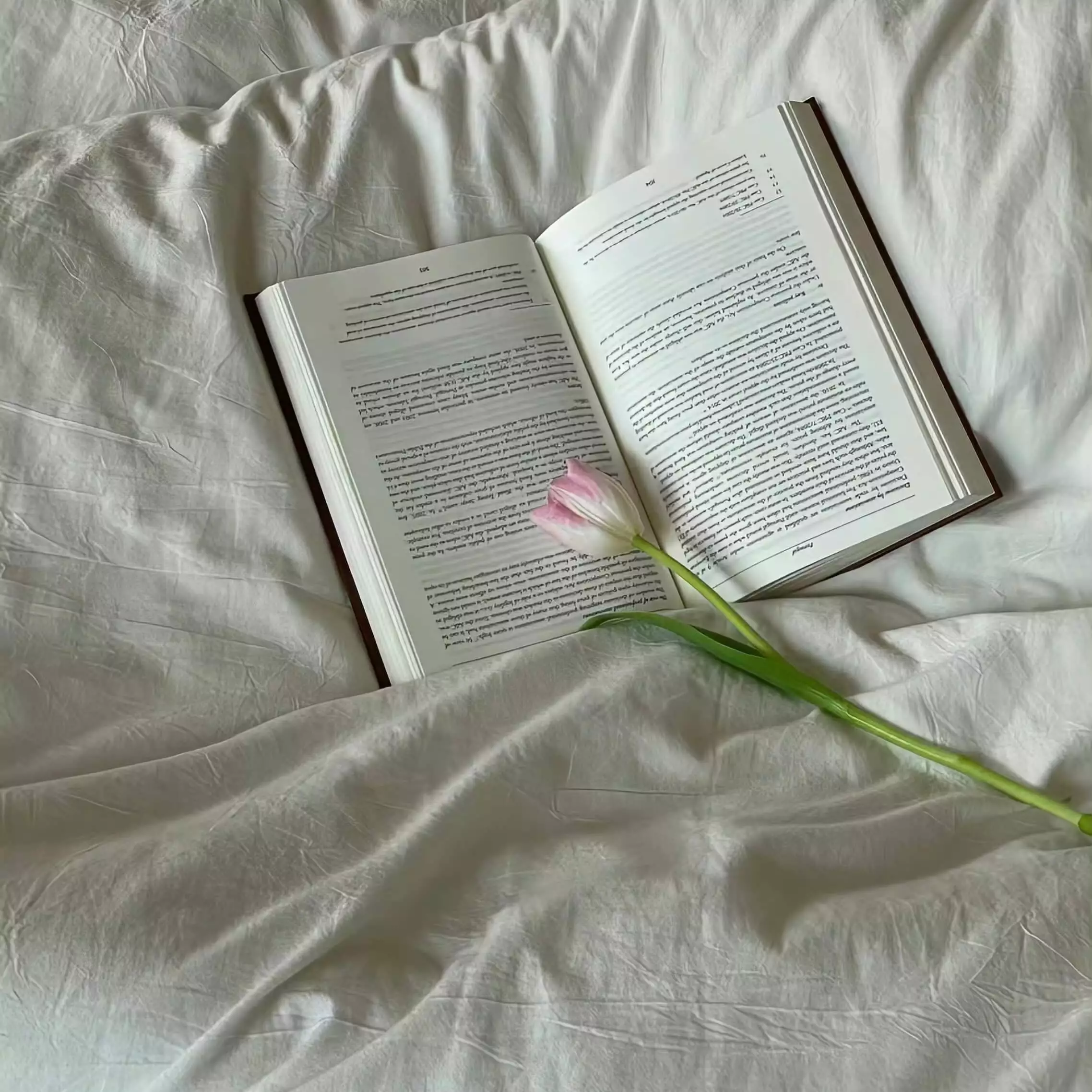 从模型集成到智能体协同：AI应用架构的演进观察